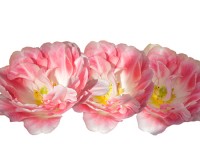 Поздравляем с 8 марта! 