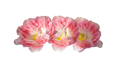 Поздравляем с 8 марта! 