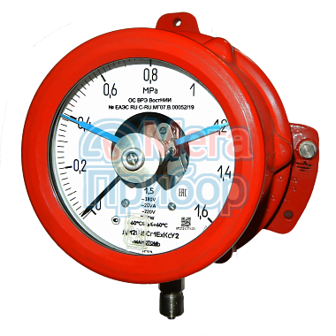 ДМ2005Сг1ЕхКс, ДВ2005Сг1ЕхКс, ДА2005Сг1ЕхКс, Манометры электроконтактные сигнализирующие взрывозащищённые