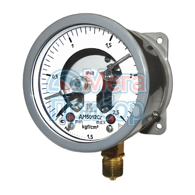 ДМ5012Сг, ДВ5012Сг, ДА5012Сг , Манометры электроконтактные сигнализирующие